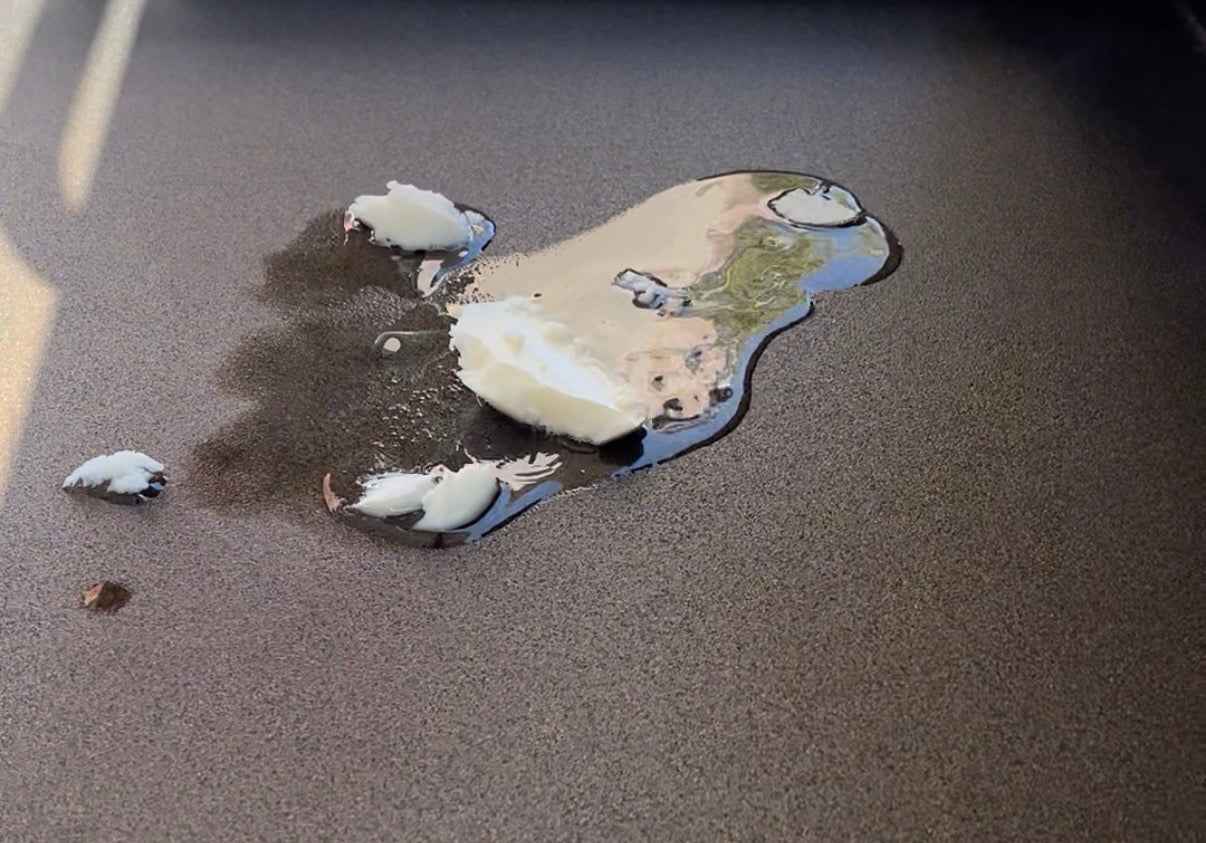 Beef Tallow | Pure Cooking Oil