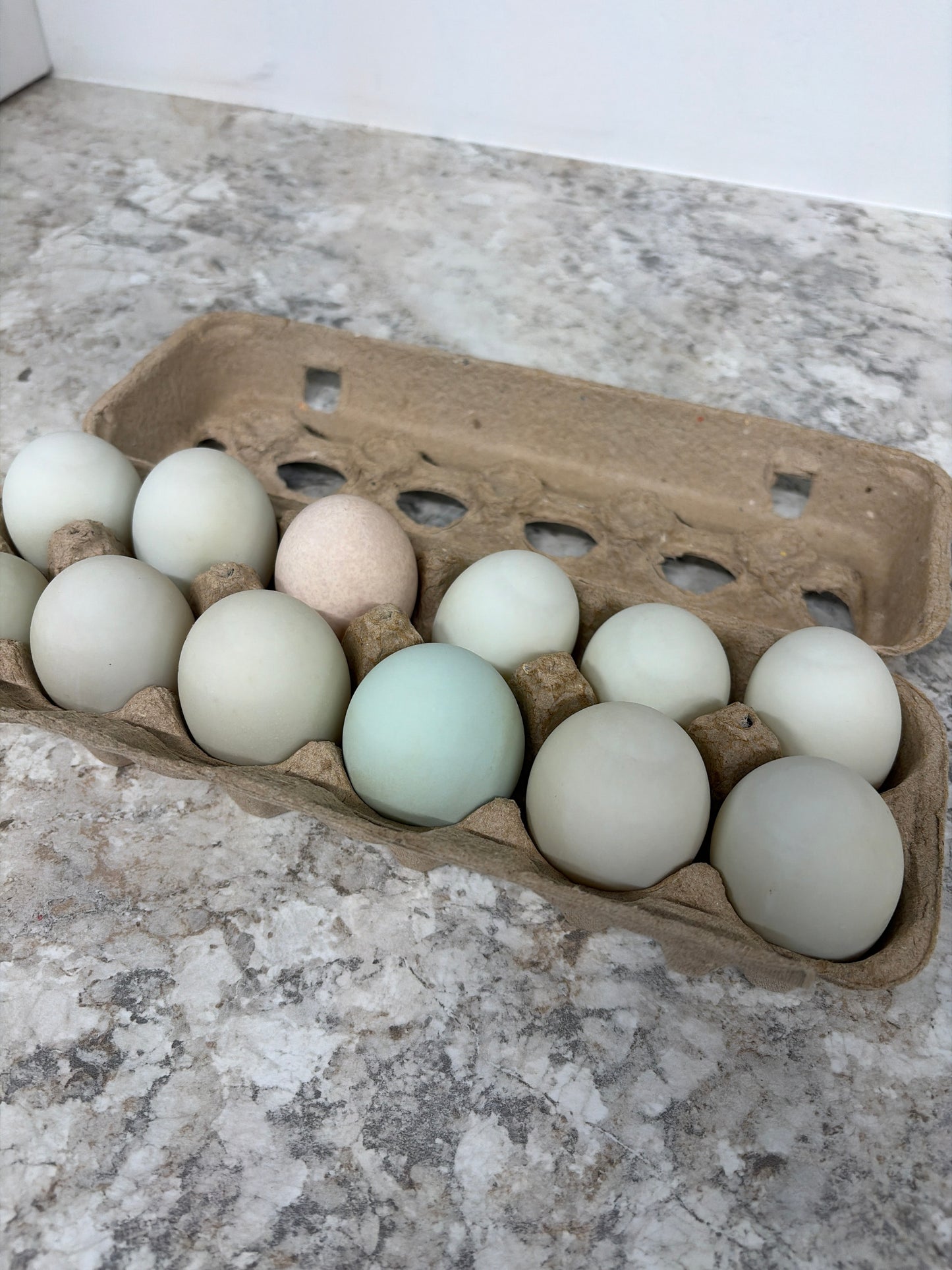 Local Farm Fresh Eggs